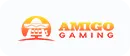 Amigo Gaming_result